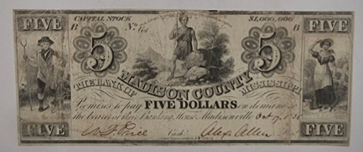 $ 5 Долларов 1896г America Madison County штат Иллинойс округ Мэдисон.