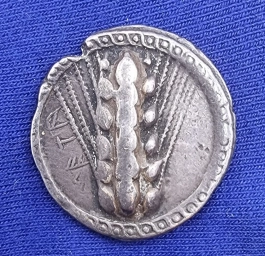 Серебряный статер (номос), Метапонт (Лукания). 510–470 гг. до н.э.