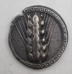 Серебряный статер (номос), Метапонт (Лукания). 510–470 гг. до н.э.