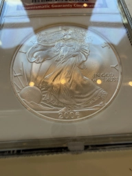 США Шагающая свобода серебро 2006 NGC MS69 Unc