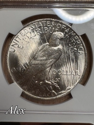 1 доллар 1923 США Мирный MS64 NGC
