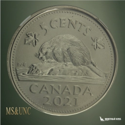 Канада 5 центов 2021 Beaver NGC MS 69 DPL