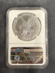 Шагающая свобода 2021 Type 2 NGC MS70 First Day of Issue