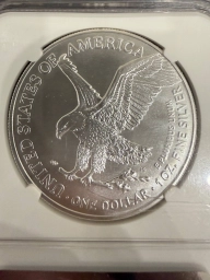 Шагающая свобода 2021 Type 2 NGC MS70 First Day of Issue