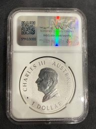Коала 2024 P125 Австралия 1 oz серебро NGC MS70