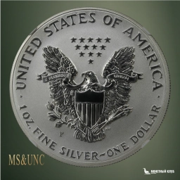 США 1 доллар 2006-P American Silver Eagle 20th Anniversary NGC Reverse