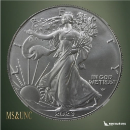США 1 доллар 2023 American Silver Eagle NGC MS 70, этикетка Satellite