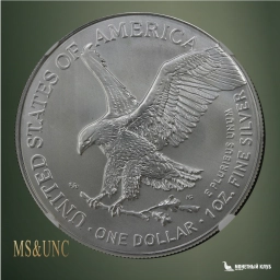 США 1 доллар 2023 American Silver Eagle NGC MS 70, этикетка Satellite