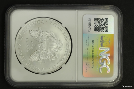 США 1 доллар 2001 American Silver Eagle NGC MS 69