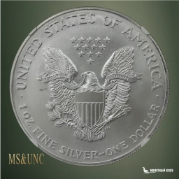 США 1 доллар 2001 American Silver Eagle NGC MS 69
