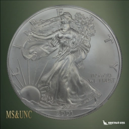 США 1 доллар 2001 Шагающая свобода NGC MS 69