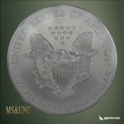 США 1 доллар 2001 Шагающая свобода NGC MS 69