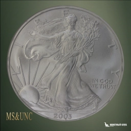 США 1 доллар 2003 Шагающая свобода NGC MS 69