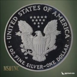 США 1 доллар 2007-W Шагающая свобода NGC PF 69 UCAM