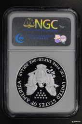 США 1 доллар 2007-W Шагающая свобода NGC PF 69 UCAM