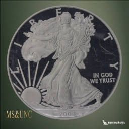 США 1 доллар 2008-W Шагающая свобода NGC PF 69 UCAM