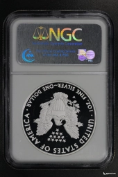 США 1 доллар 2008-W Шагающая свобода NGC PF 69 UCAM
